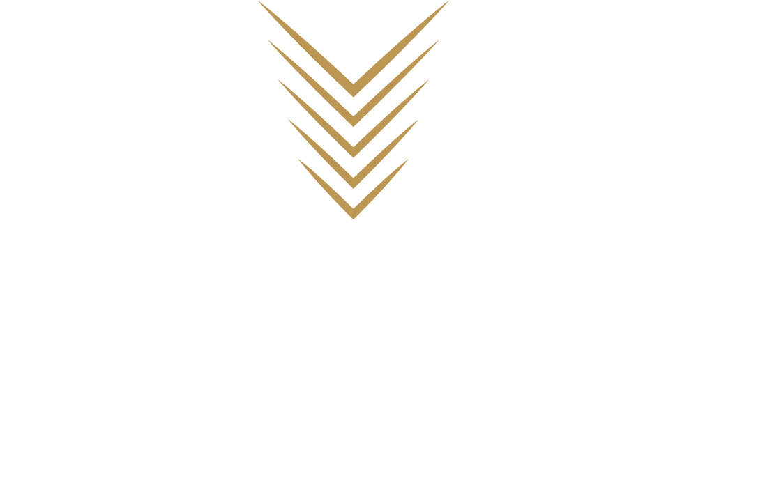 Vijayraj Developers LLP